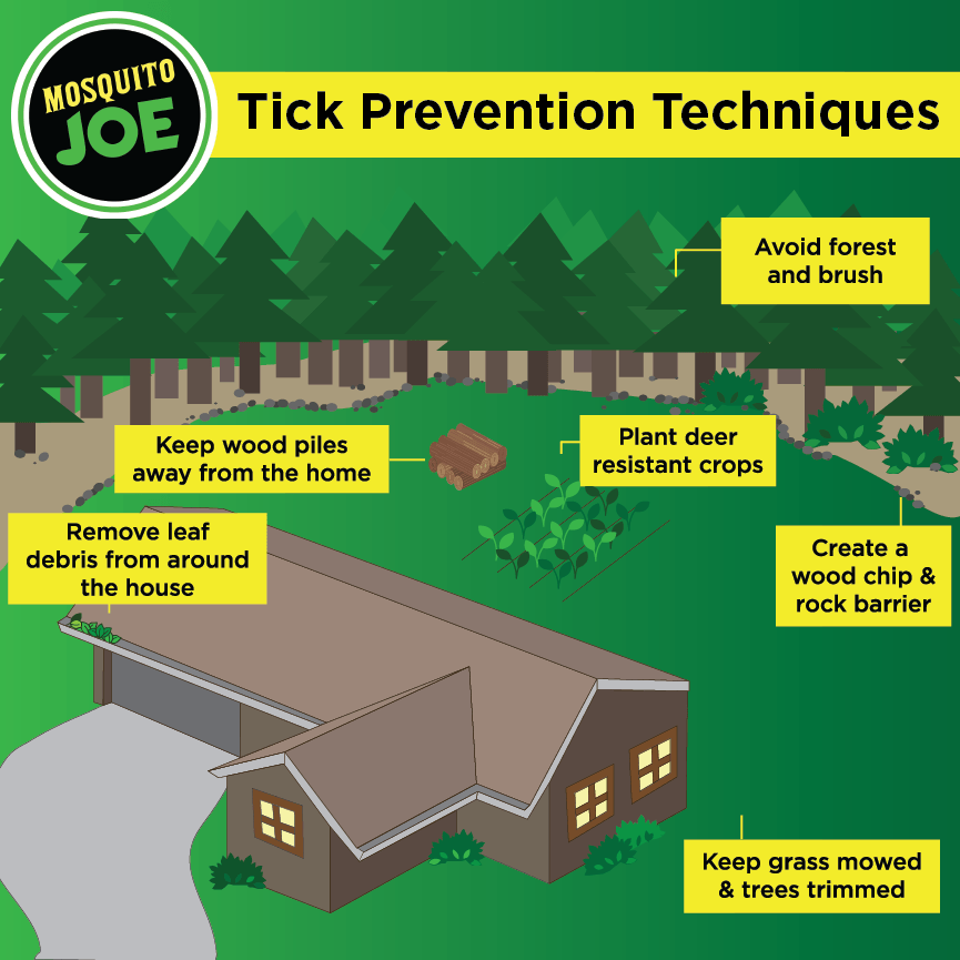 Infographic of a house in the woods with tick prevention tips on yellow boxes around the house